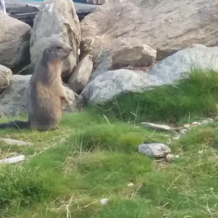 Διαμέρισμα Hochzillertal