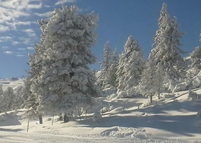 Hochzillertal Daire *