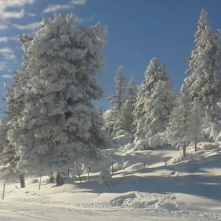 Hochzillertal Appartement *